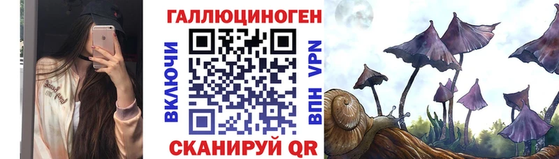ссылка на мегу онион  Шимановск  Псилоцибиновые грибы мицелий 